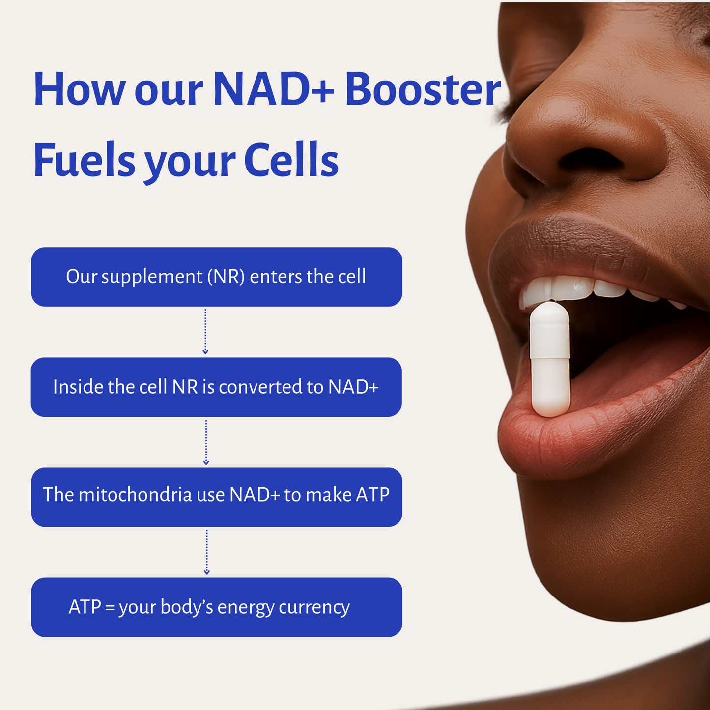 NAD+ Boost - Cellular Energy & Healthy Aging