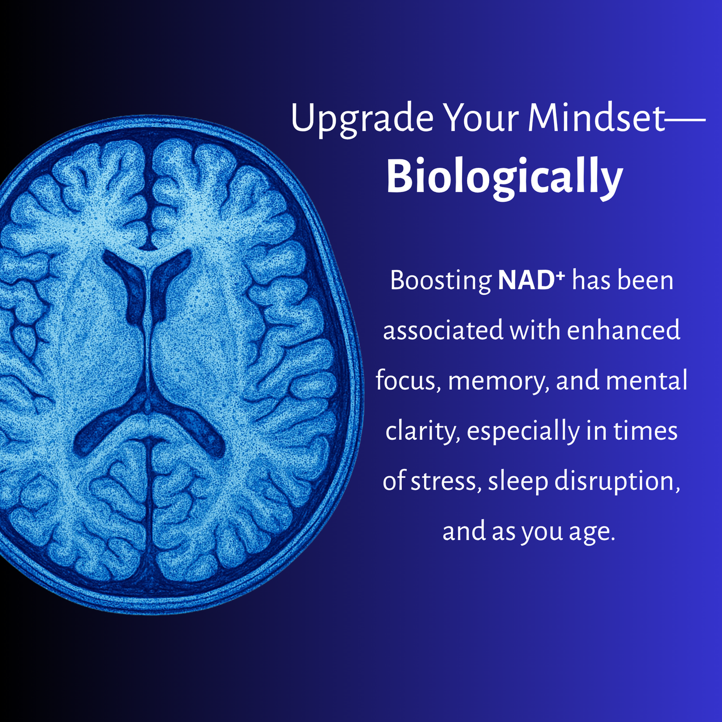 NAD+ Boost - Cellular Energy & Healthy Aging